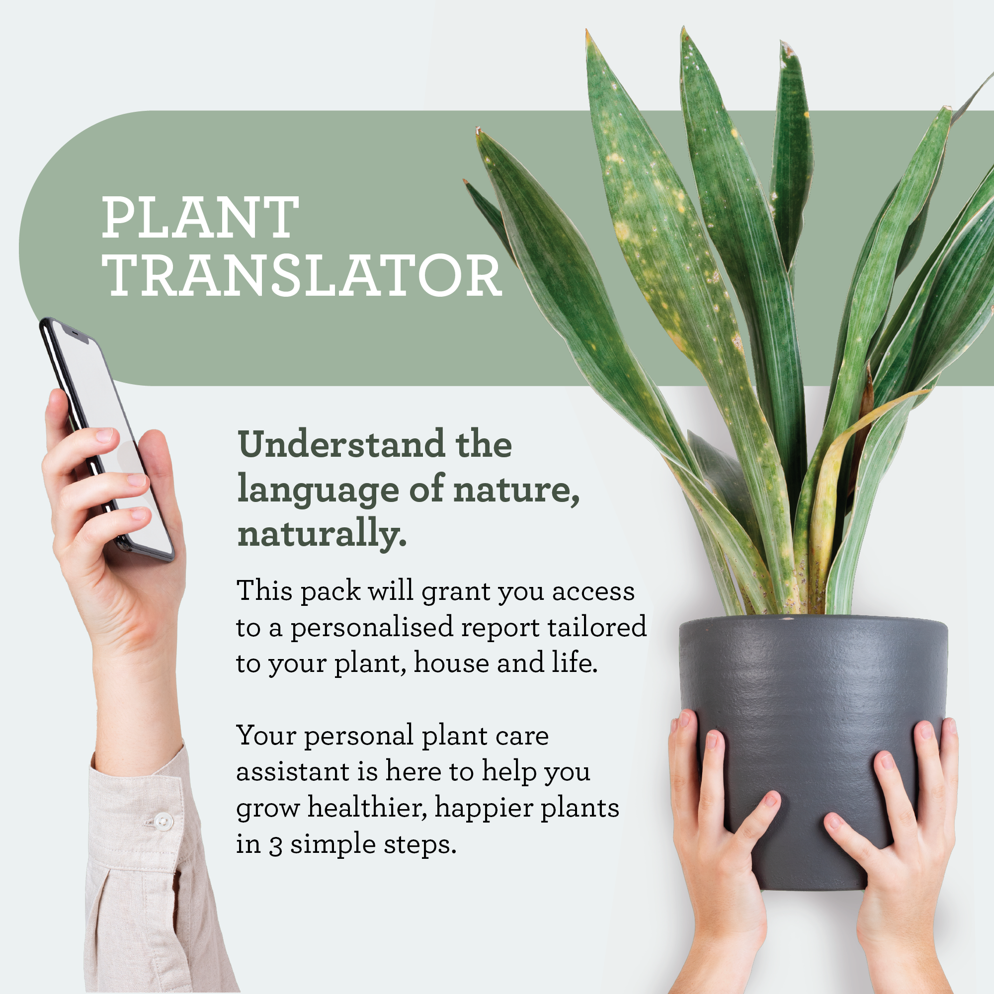 Generosa Plant Treat Gift Set Christmas Edition – Plant Nourishment | Natural Liquid Fertiliser 50ml and Glass Spray Bottle | Nutrients for Houseplants | Gift for Plant Lovers | Christmas Gift Gift Ideas, Eco-friendly Gift