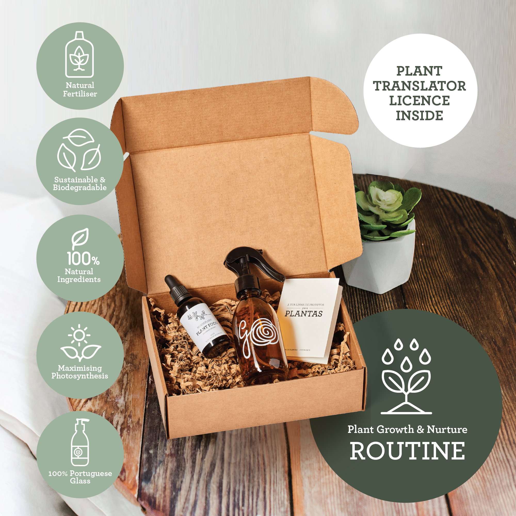 Generosa Plant Treat Gift Set Christmas Edition – Plant Nourishment | Natural Liquid Fertiliser 50ml and Glass Spray Bottle | Nutrients for Houseplants | Gift for Plant Lovers | Christmas Gift Gift Ideas, Eco-friendly Gift