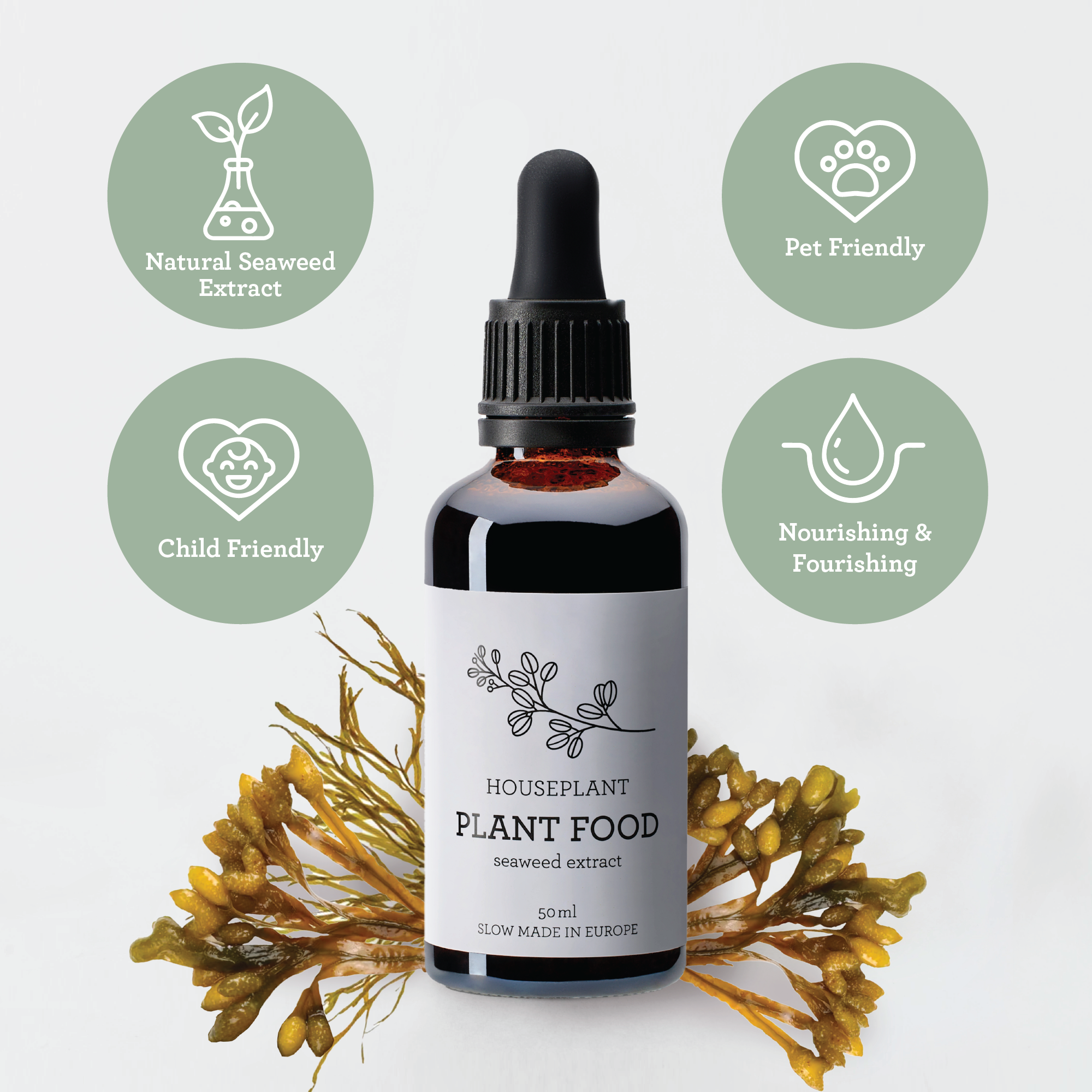 Generosa Plant Treat Gift Set Christmas Edition – Plant Nourishment | Natural Liquid Fertiliser 50ml and Glass Spray Bottle | Nutrients for Houseplants | Gift for Plant Lovers | Christmas Gift Gift Ideas, Eco-friendly Gift